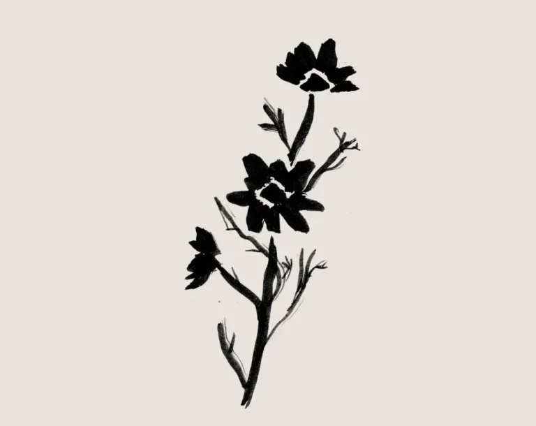 Cosmos