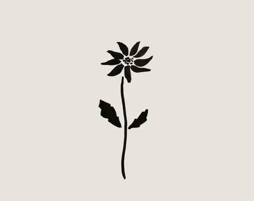 Rudbeckia