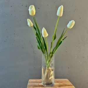 Ramo Tulipanes Catherina