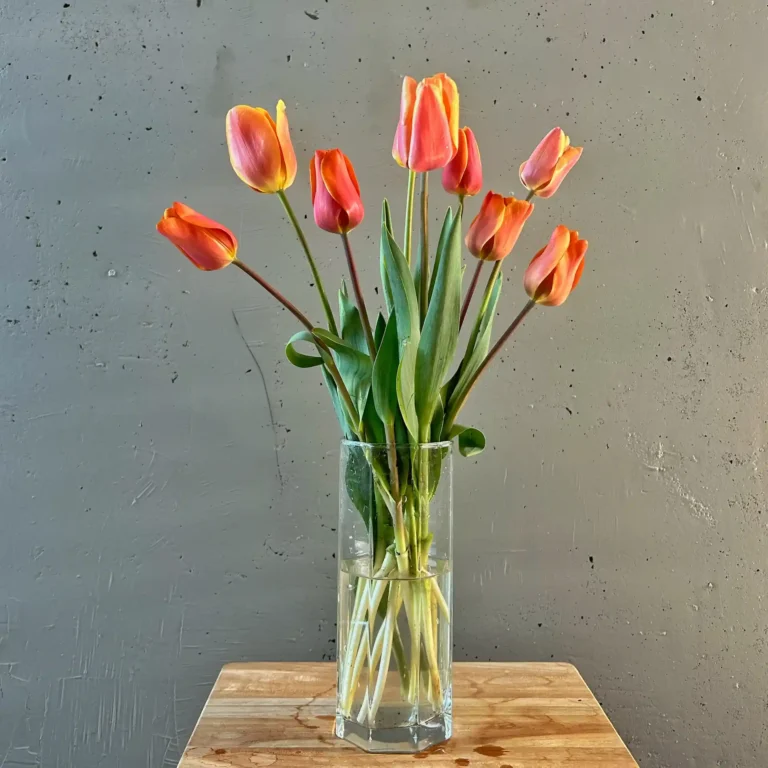 Ramo Tulipanes Dillenburg