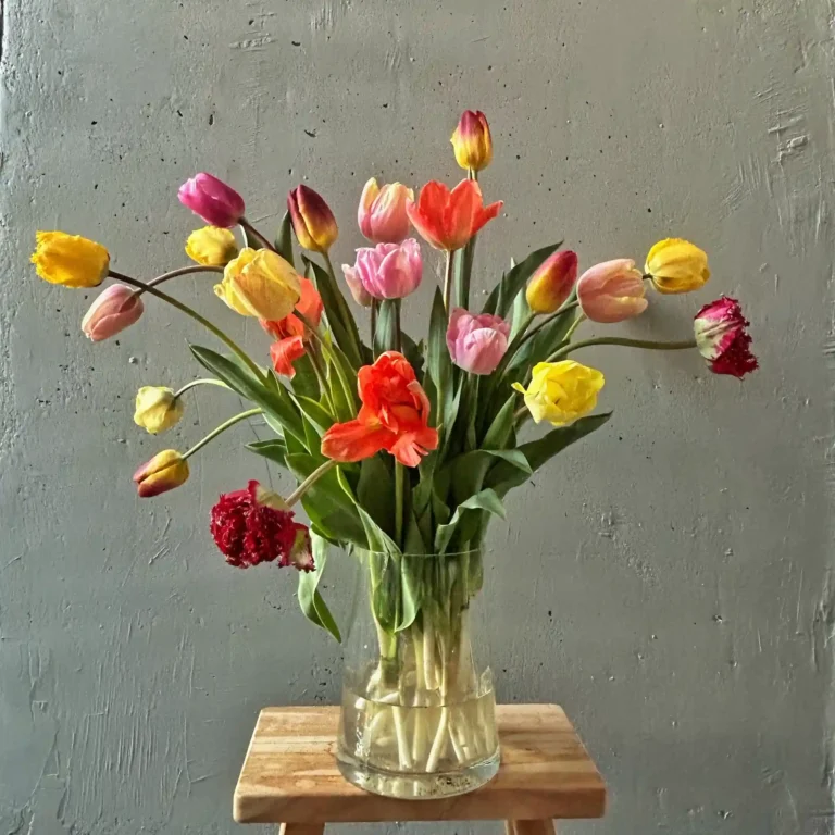 Ramo Tulipanes Mix