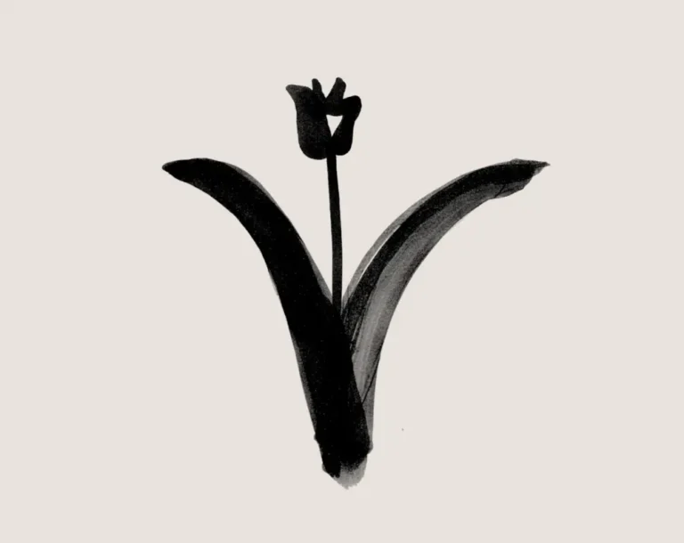 Tulipanes