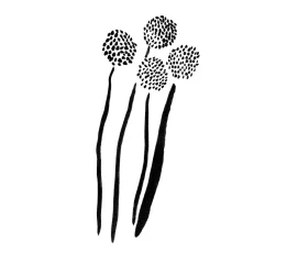 Bamba – Flores de temporada 1 Bamba - Flores de temporada 1